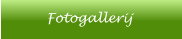 Fotogallerij