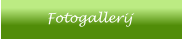 Fotogallerij