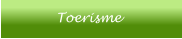 Toerisme
