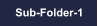 Sub-Folder-1