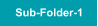Sub-Folder-1