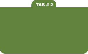 TAB # 2