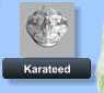 Karateed